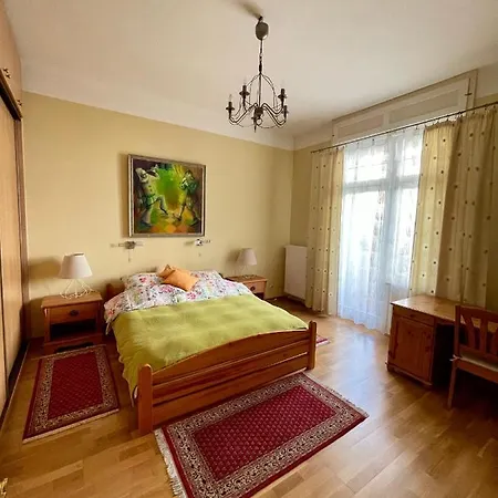 Apartment Spacious In The Heart Of